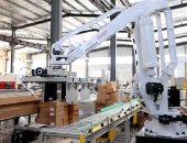 機(jī)器人碼垛機(jī)